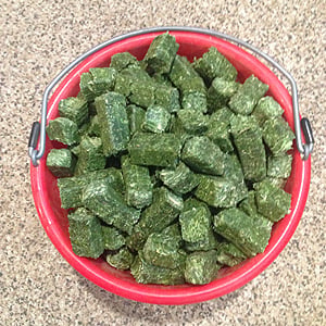 SUPERIOR GRADE PREMIUM ALFALFA MINI CUBES